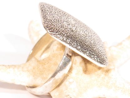 anello in argento satinato